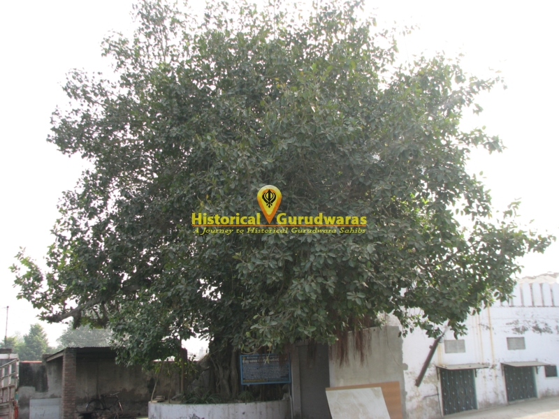 Gurdwara Sri Pipli Sahib, Bilga — view 2